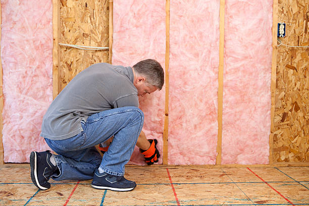 Professional Insulation Services in Delmont, PA